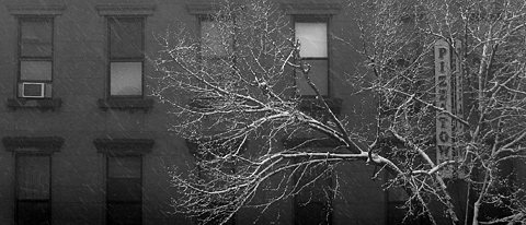 fifthavesnow fifthavesnow