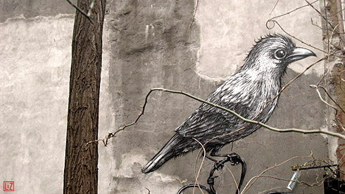 birdgraff eastvillage