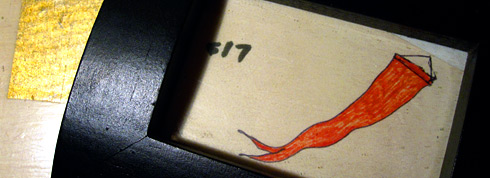 swallowtail_standard