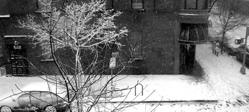 a car blanketed with snow on a side street