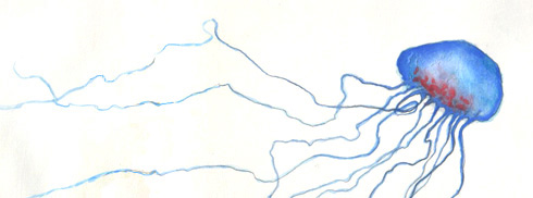 water color painting of jellyfish