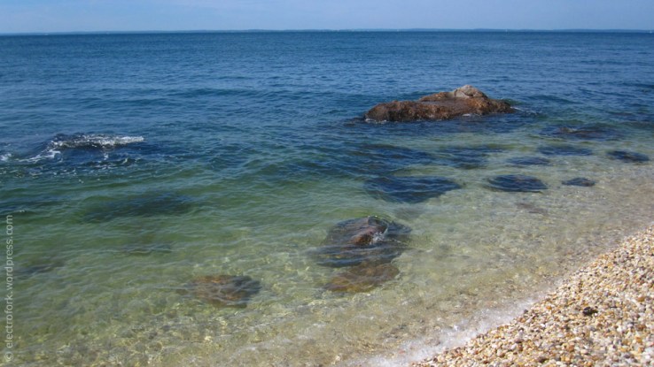 Long Island Sound