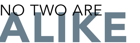 NO TWO ARE ALIKE