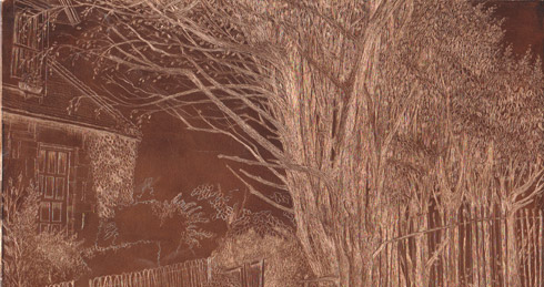 lines etching in progress- copper plate