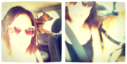 lizzie and luna me and Luna the dog, blurry, in the car