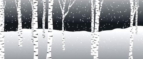 birch trees in snow; link to animation