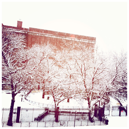 Brooklyn snow Feb 2014