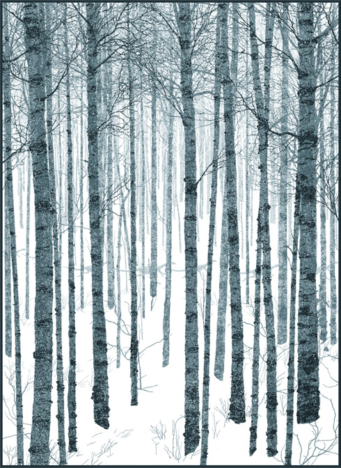 Dan McCarthy The WInter