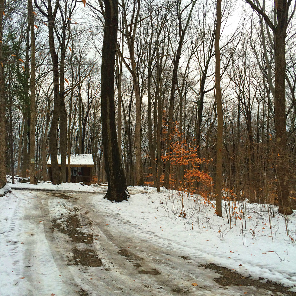 cabin in Jenny Jump State Forest