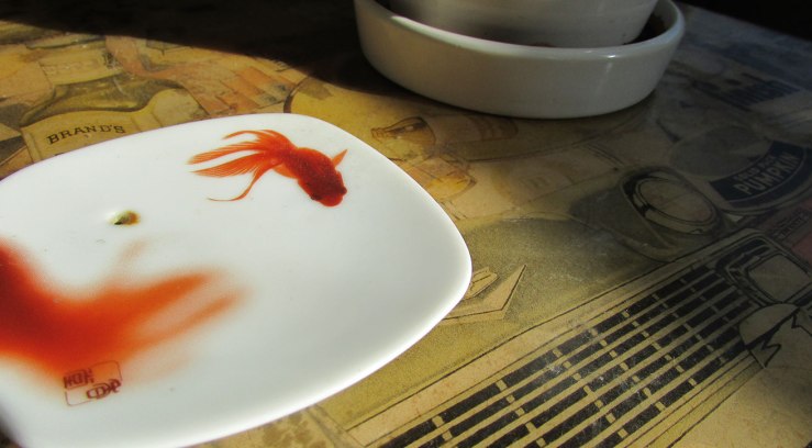 table top with small saucer