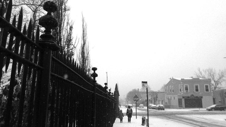 Snow in Brooklyn