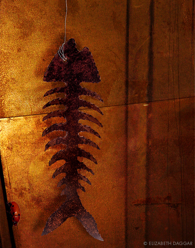 Photo collage:  Fish bones