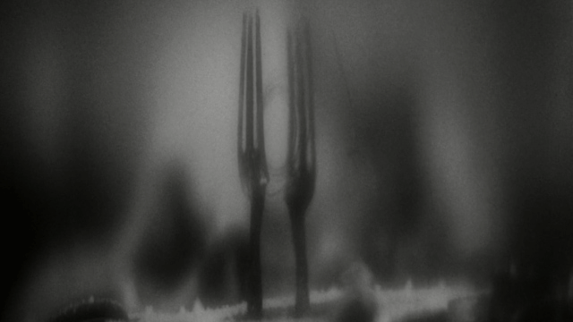 Institute Benjamenta