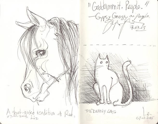 sketches: horse and cat