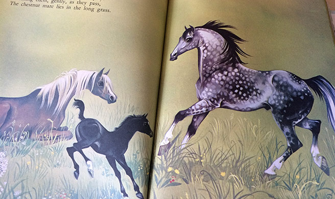 illustrations by Janet & Anne Grahame Johnstone