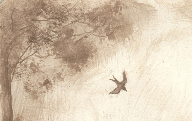 bird