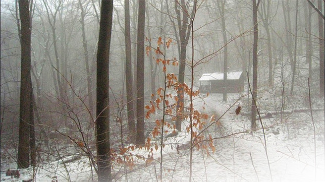 Cabin in snow, NJ, 2008