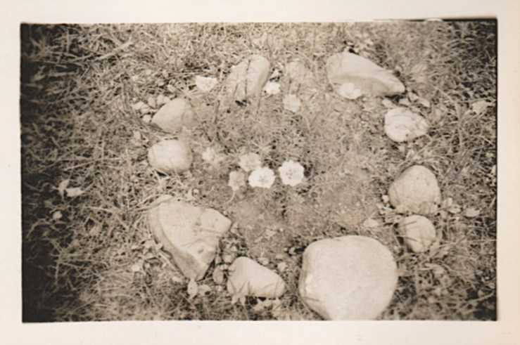 Presumably a dead pet, sad.