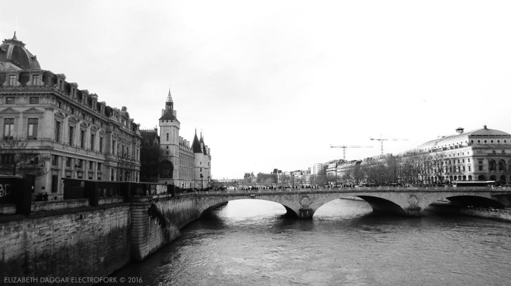The seine, Paris
