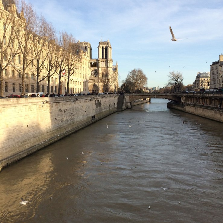 Sunshine on the Seine, Paris