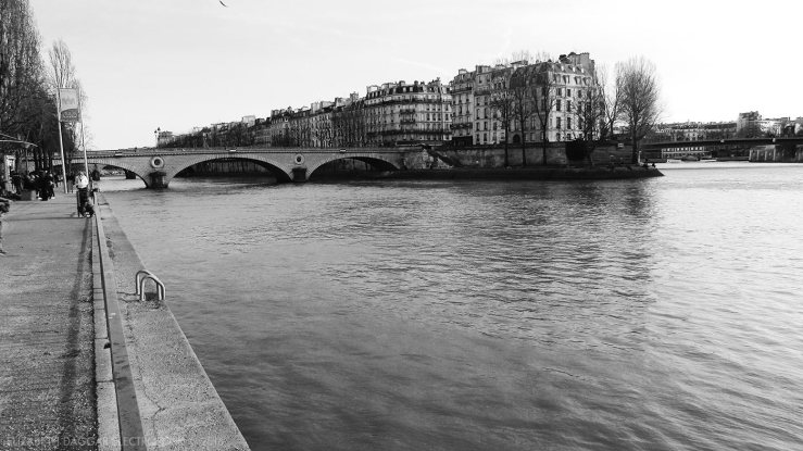The seine, Paris