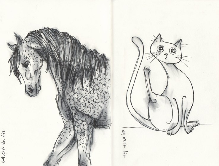 04.07.16_horse+cat