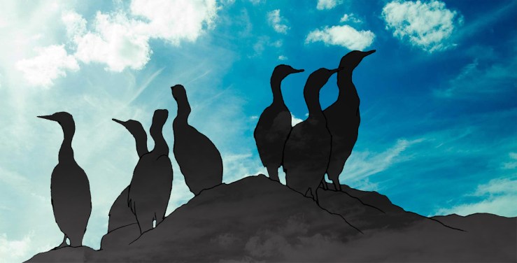 drawing of cormorants against blue sky