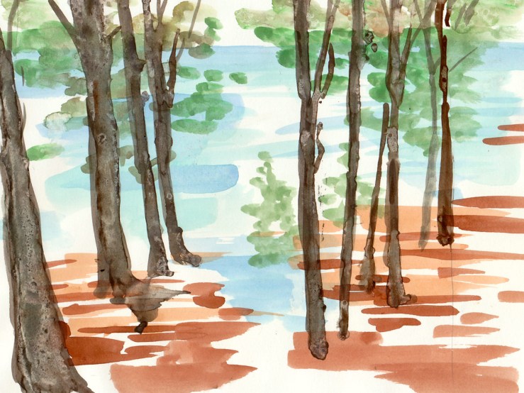 watercolor of a woods