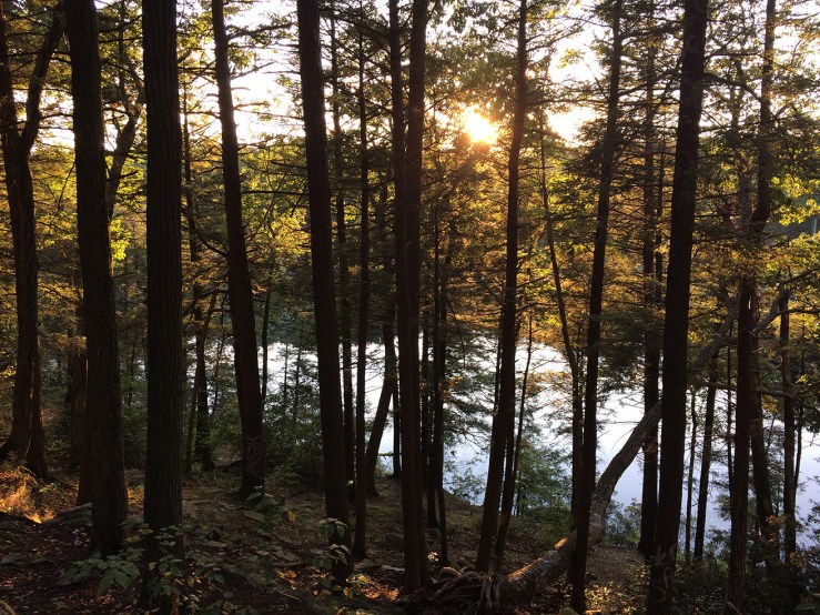 Fahnestock State Park camping