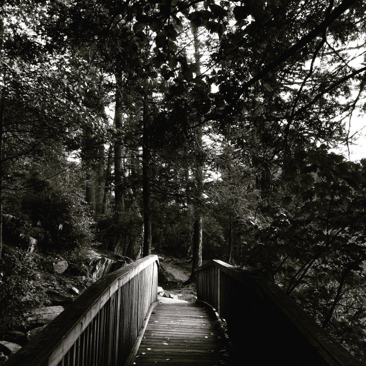hiking Fahnestock State Park