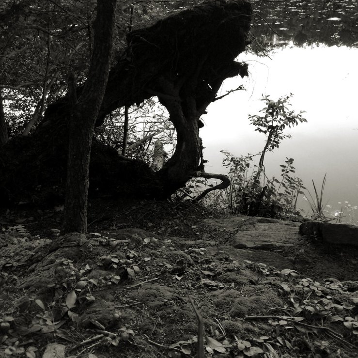 Peyton Pond at Fahnestock State Park