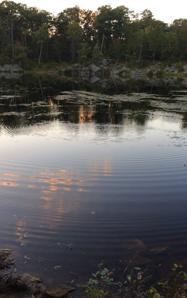 Ripples on the glass pond; stone-skipping in the fading light