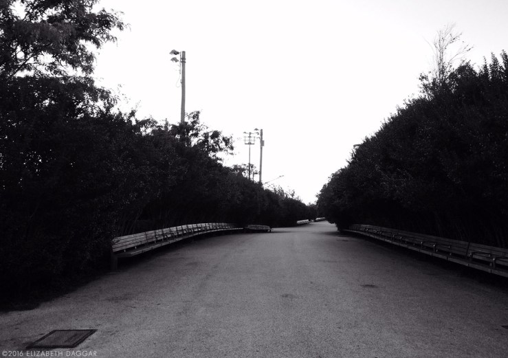 Brooklyn Bridge Park, Pier 6