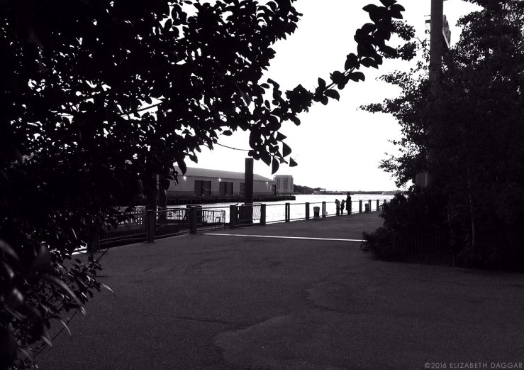 Brooklyn Bridge Park, Pier 6