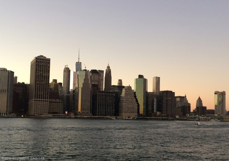 View of lower Manhattan from Brooklyn Bridge Park