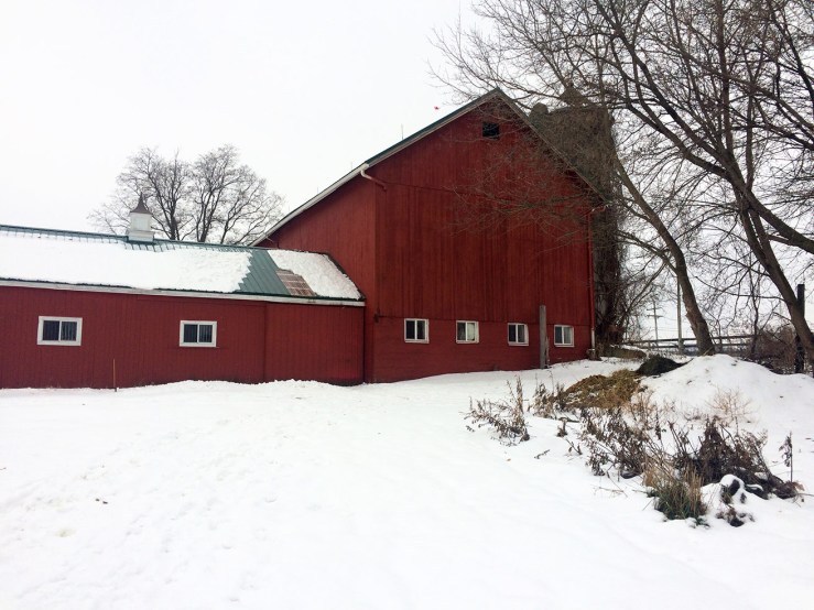 Red barns in snow
