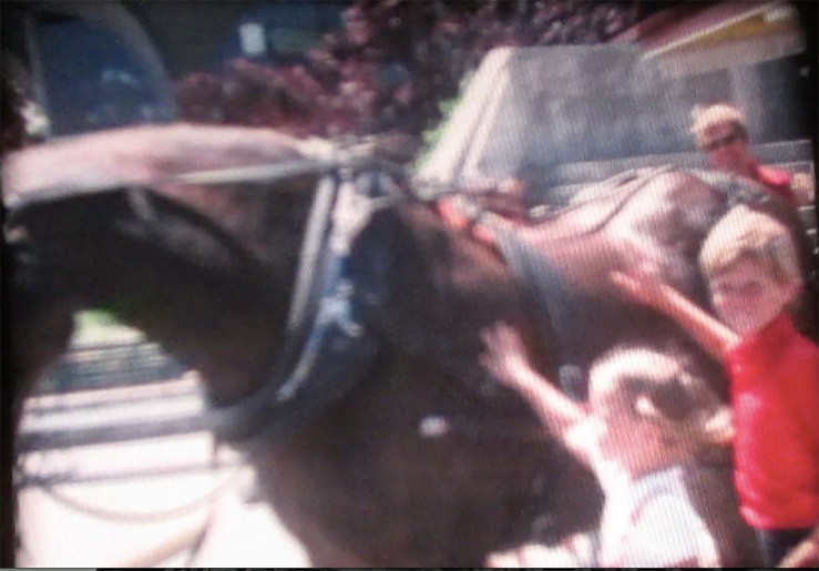 super 8 still of horse and kids
