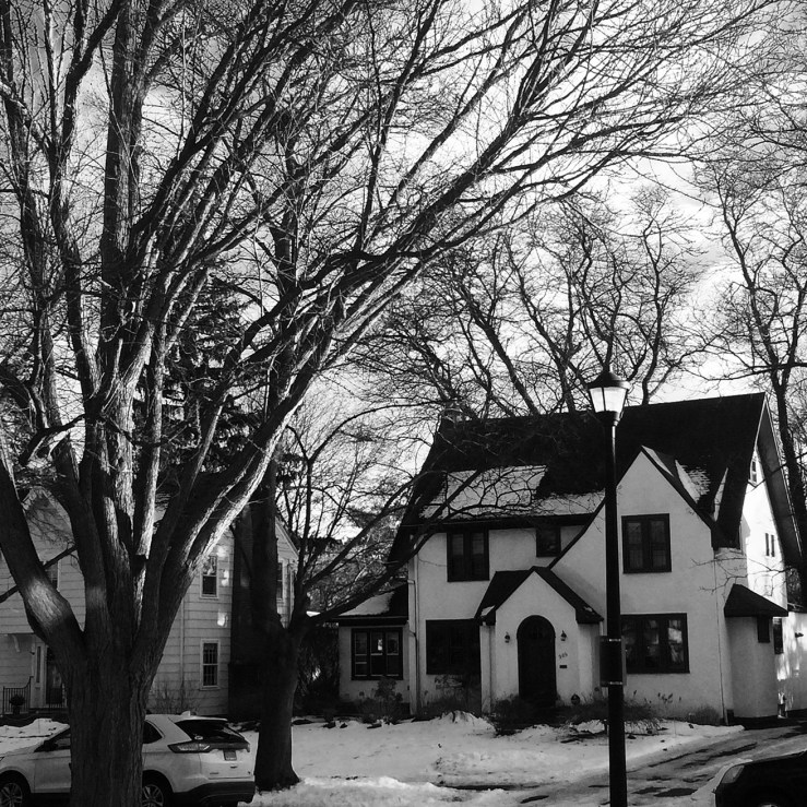 houses in snow