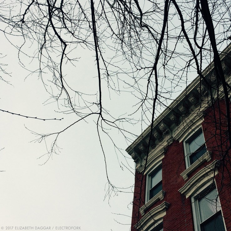 photo of apartment windows