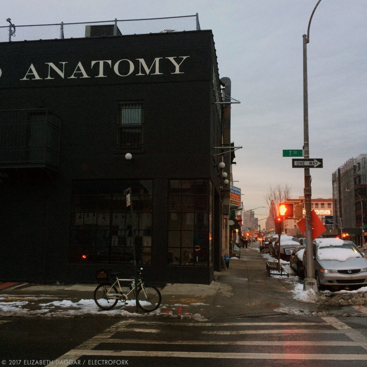 Morbid anatomy facade