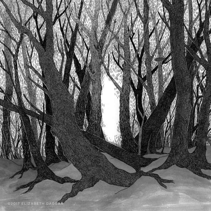 ink drawing of trees