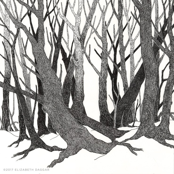 ink drawing of trees