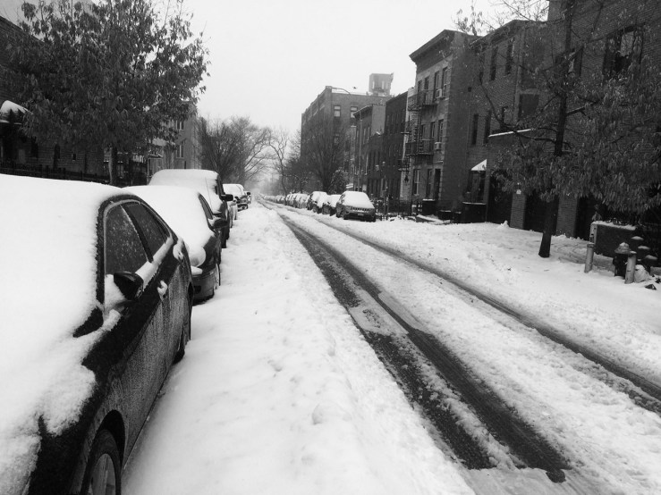 Brooklyn in snow