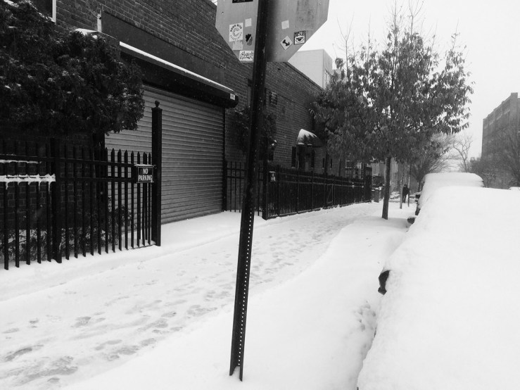 Brooklyn in snow