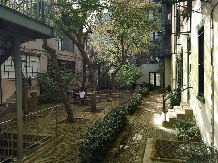 Washington Mews garden