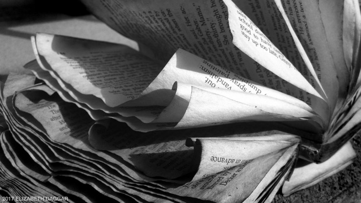 Photo of old book pages