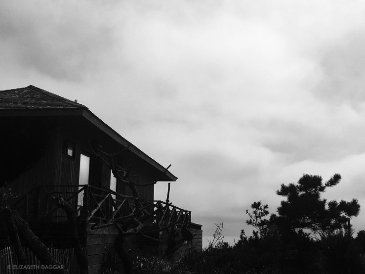 Fire Island Pines house