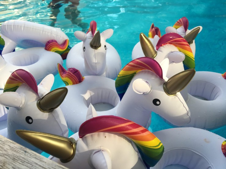 Fire Island Pines pool unicorns