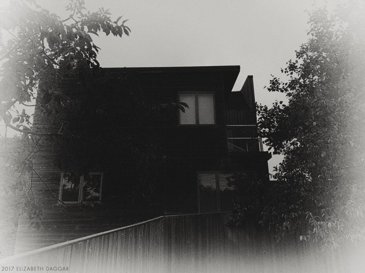 A house in the pines