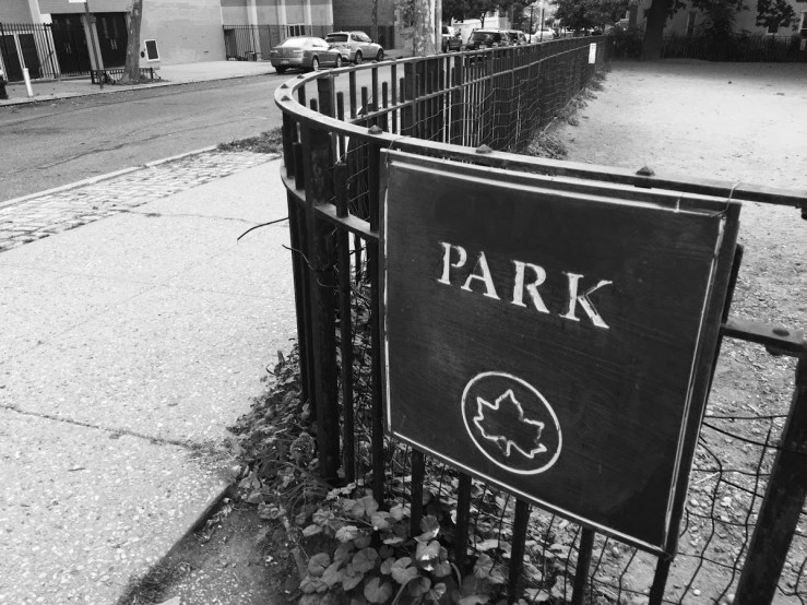 park in Brooklyn